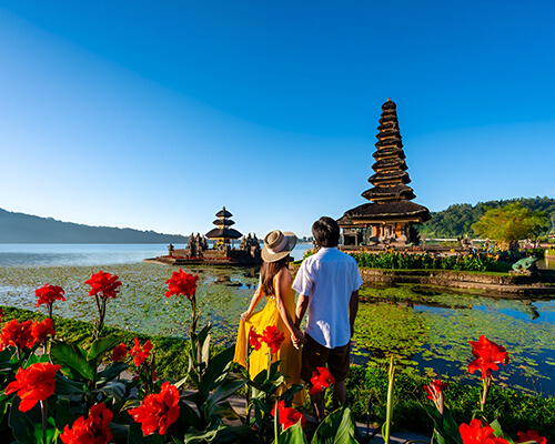 Best Tour Packages of Bali