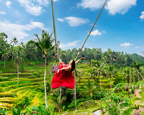 Best Tour Packages of Bali